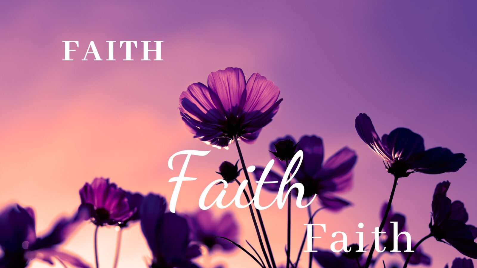 Easy Wasy to Grow your Faith